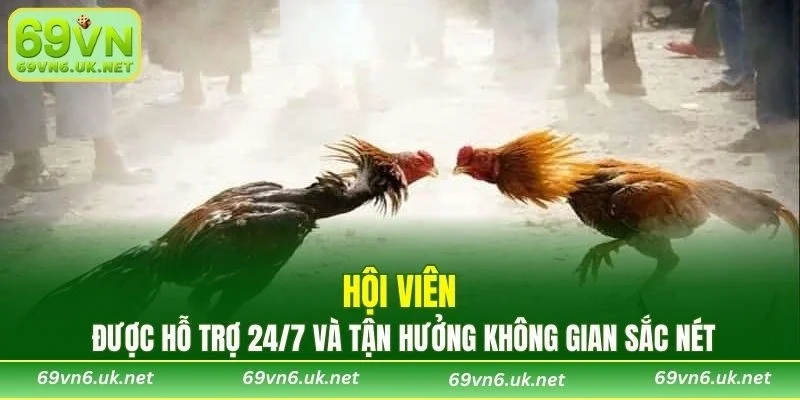 Hội viên được hỗ trợ 24/7 và tận hưởng không gian sắc nét