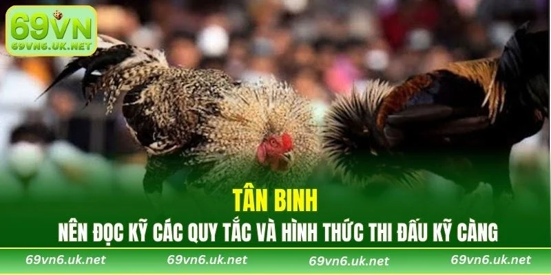 Tân binh nên đọc kỹ các quy tắc và hình thức thi đấu kỹ càng