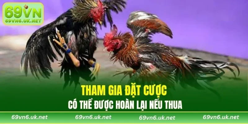 Tham gia đặt cược có thể được hoàn lại nếu thua